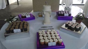 cup_cake_on_thier_display
