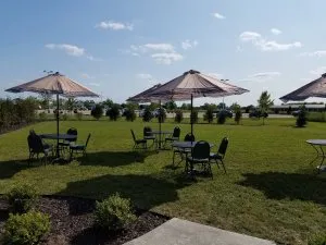 Smal-tents-garden-2017.jpg